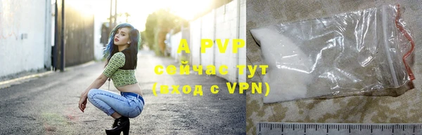 прущая мука Иннополис