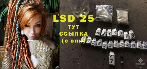 спайс Инта