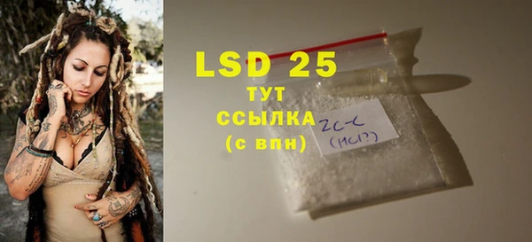 спайс Инта