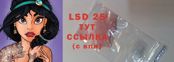 спайс Инта