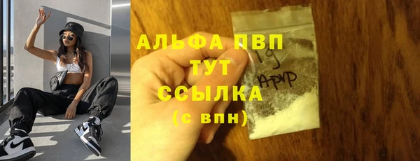 спайс Инта