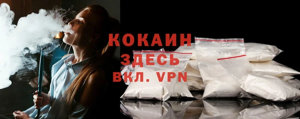 спайс Инта