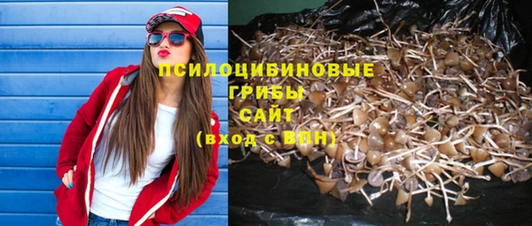 спайс Инта