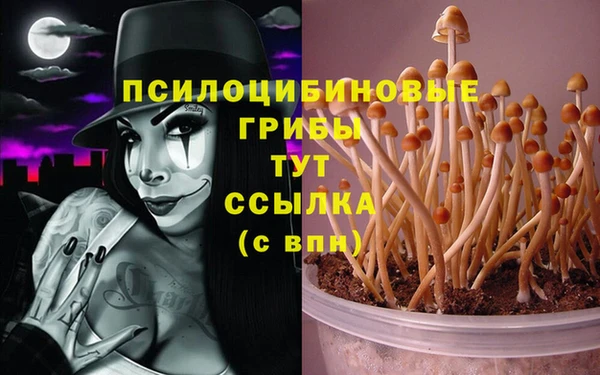 прущая мука Иннополис