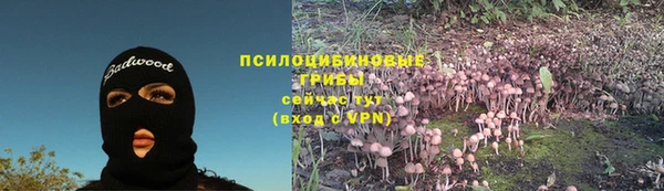 прущая мука Иннополис